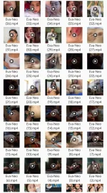 1000062975.jpg