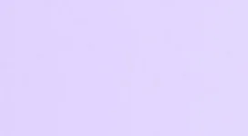 1000003641.webp