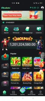 Screenshot_2024-12-24-12-54-37-76_7a38c234362d59eee14e204bd091d285.webp