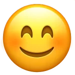 1735245173379.webp