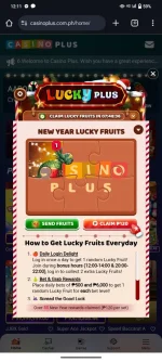 Screenshot_20241227_121124.webp