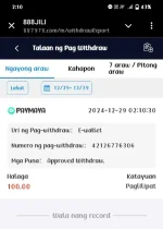 Screenshot_2024_1229_021039.webp