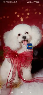 Screenshot_2024-12-29-16-11-25-948_com.miui.home.webp