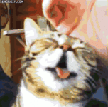 200.gif