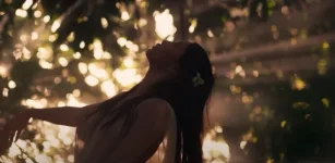 virgin d.png virgin d.png