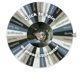 spiin.webp