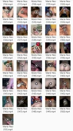 1000084302.jpg