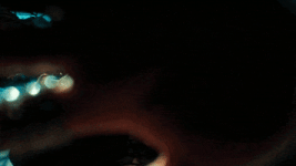 200.gif
