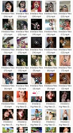 1000091595.webp 1000091595.webp