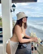 Baler.webp
