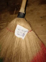 IMG_20250113_002047.webp
