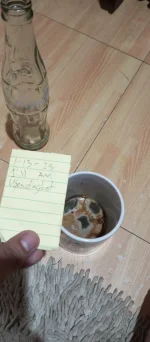 IMG_20250113_011110_177.webp