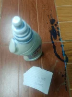 IMG_20250113_012702.webp