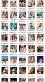 1000094804.webp