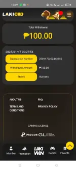 Screenshot_2025-01-17-00-49-23-13_b6990a7ae9a03eebe87c48a4dd17c7ed.webp