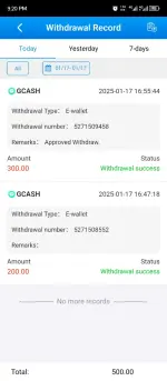 Screenshot_20250117-212045.webp