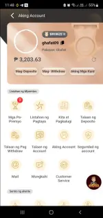 Screenshot_20250117-234822.webp