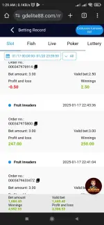 Screenshot_2025-01-18-01-29-28-178_com.android.chrome.webp