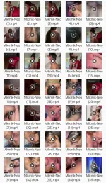 1000096600.webp 1000096600.webp