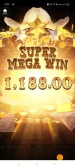 1000006254.webp