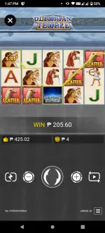 Screenshot_20250126-134730.webp