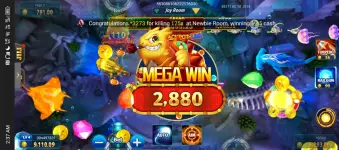 1000002237.webp