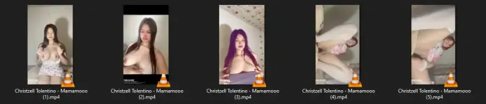 1738241440190.webp
