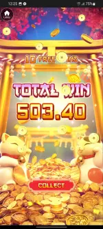 Screenshot_20250601-122525_Bet100.webp