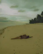 NL (7).webp