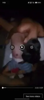 1000012381.webp