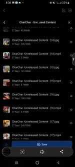 Screenshot_20250929-203837.webp Screenshot_20250929-203837.webp