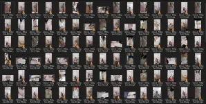 Untitled.webp