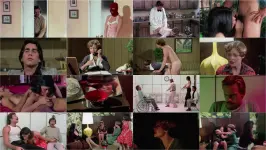2. Dcover.webp