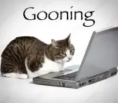 4fdada773288d31742fbca52c535192b.webp