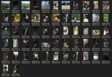 Untitled.webp