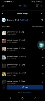 Screenshot_20251015-092244.webp