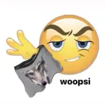 082efdd94b1bd9210e5c0ff1ef21279b.webp
