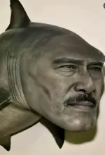 1760407171527.webp