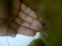 93411948-2015-03-13-22-24-00.webp