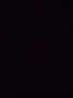 17626475285066504568794716110677.webp