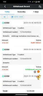 Screenshot_20251110_193534.webp