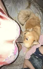 1668192692850.webp