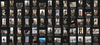 Untitled.webp