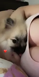snaptik_7270265922542193926_2.webp