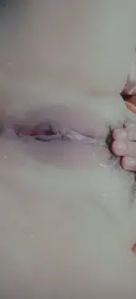 23.webp