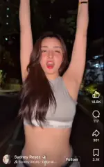 1763609236964.webp
