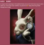 1763833774066.webp 1763833774066.webp