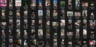 Untitled.webp