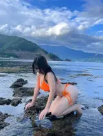 1764113280346.webp