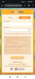 Screenshot_2025-11-26-18-20-37-349_com.android.chrome.webp